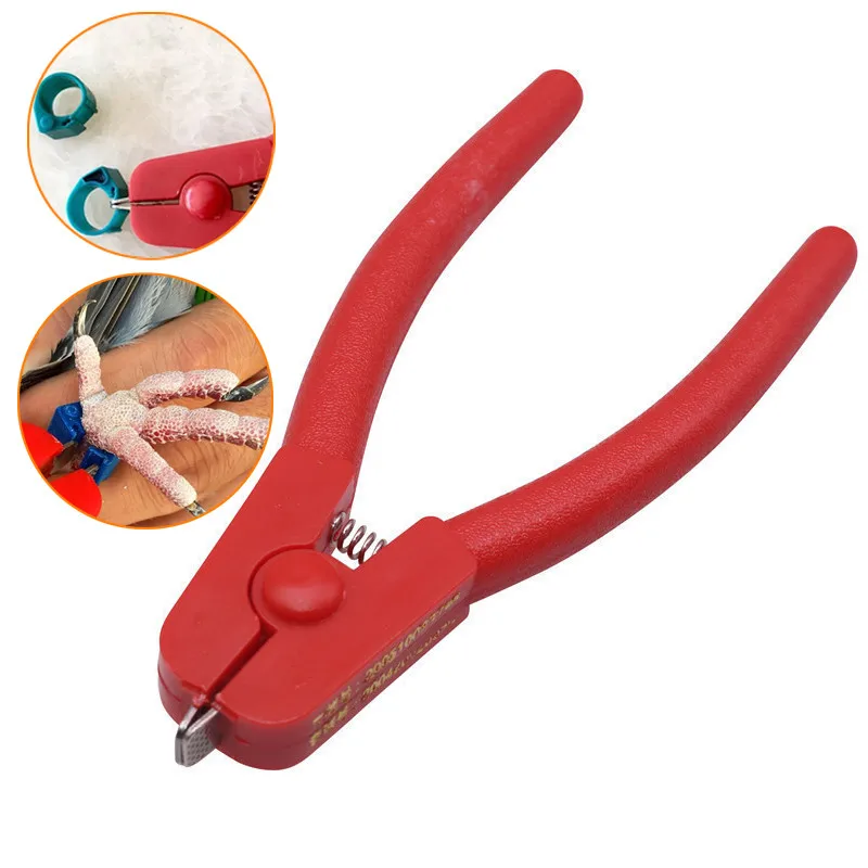 1 pcs Professional Pigeon Electronic Ring Opening Ring Pliers Removal Ring Pliers Multi Function Disassembly Ring Tool
1 pcs Professional Pigeon Electronic Ring Opening Ring Pliers Removal Ring Pliers Multi Function Disassembly Ring Tool