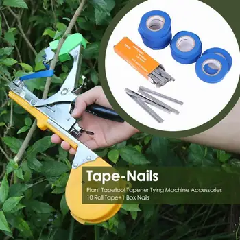Plant Tapetool Tapener Tying Machine Accessories 10 Roll Tape+1 Box Nails Packing Binding Vegetable Stem Strapping Garden Tools
Plant Tapetool Tapener Tying Machine Accessories 10 Roll Tape+1 Box Nails Packing Binding Vegetable Stem Strapping Garden Tools