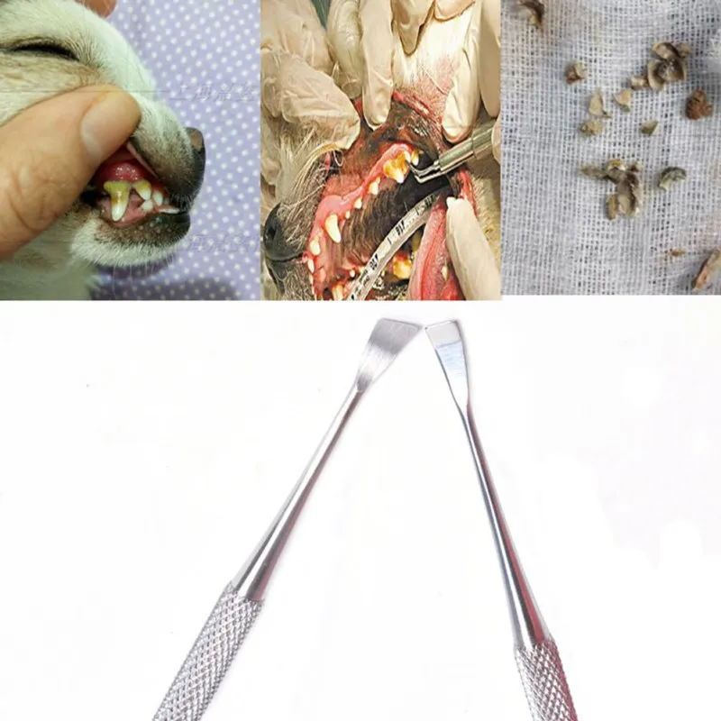 Tartar Remover Stick Cat Dog Teeth Cleaning Tool Tooth Care Double-head Dental Calculus Removal Tooth Scraper for Pet Cat Dog
Tartar Remover Stick Cat Dog Teeth Cleaning Tool Tooth Care Double-head Dental Calculus Removal Tooth Scraper for Pet Cat Dog