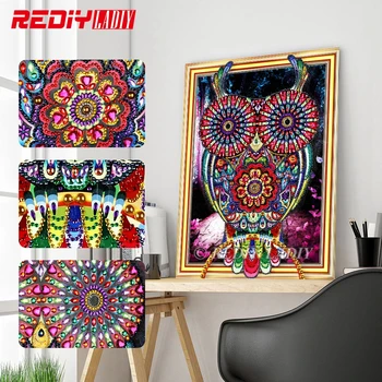 5D Special Shaped Diamond Mosaic Colorful Owl Crystal Shining Round Rhinestones Wall Arts DIY Diamond Painting Cross Stitch Kits
5D Special Shaped Diamond Mosaic Colorful Owl Crystal Shining Round Rhinestones Wall Arts DIY Diamond Painting Cross Stitch Kits
