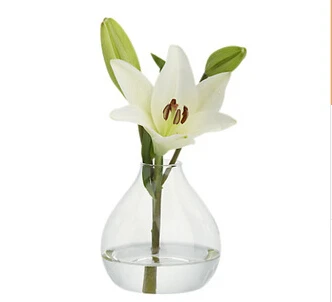 European contracted glass vase Transparent hydroponic flower implement desktop decoration decorative arts and crafts
European contracted glass vase Transparent hydroponic flower implement desktop decoration decorative arts and crafts