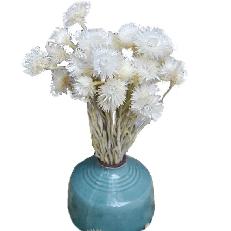Rock dried flower immortal natural plant daisies northern European plant flower material Free Shipping
Rock dried flower immortal natural plant daisies northern European plant flower material Free Shipping