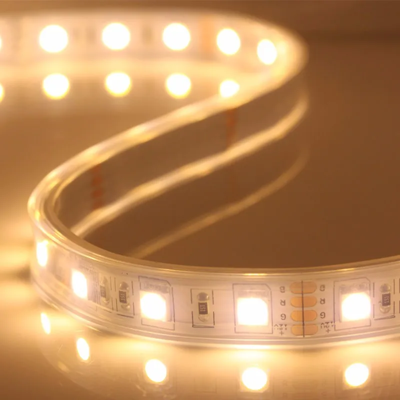 IP67 Waterproof 5050 LED Strip,12V 60LED/M RGB 6