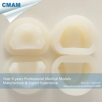 DH/13128,Rubber Mould, Bite Block Rubber Mould, Wax Embankment, Educational Teaching Anatomical Models
DH/13128,Rubber Mould, Bite Block Rubber Mould, Wax Embankment, Educational Teaching Anatomical Models