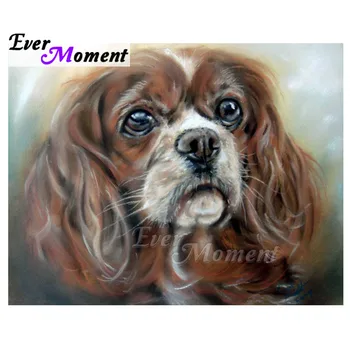 Ever Moment Diamond Painting Full Square Drill Handmade Dog Picture Of Rhinestone Diamond Embroidery Cross Stitch Decor 3F899
Ever Moment Diamond Painting Full Square Drill Handmade Dog Picture Of Rhinestone Diamond Embroidery Cross Stitch Decor 3F899