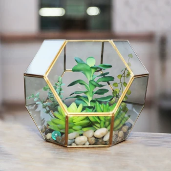 Tabletop Succulent Plant Box Polygon Micro Landscape Succulent Terrarium Box Jewelry Storage Box Home Decoration Gift Crafts
Tabletop Succulent Plant Box Polygon Micro Landscape Succulent Terrarium Box Jewelry Storage Box Home Decoration Gift Crafts