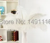 Wholesale 50 pcs / lot high quality ostrich feather 14-16inches / 35-40cm DIY jewelry decoration
Wholesale 50 pcs / lot high quality ostrich feather 14-16inches / 35-40cm DIY jewelry decoration