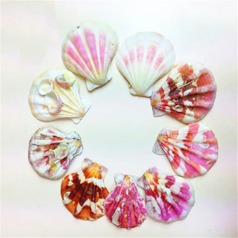 60Pcs/Lot Colored conchas 3-4cm Crafts Materials Decorative Seashells Crafts Aquarium Ornament Art Deco Home Decor Accessories
60Pcs/Lot Colored conchas 3-4cm Crafts Materials Decorative Seashells Crafts Aquarium Ornament Art Deco Home Decor Accessories