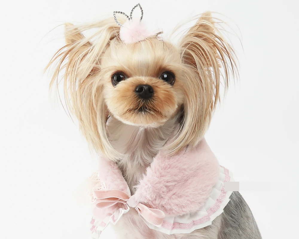 Pets Cat Dog Cute rabbit ears hair ball stitching decorative hair clip hair accessories
Pets Cat Dog Cute rabbit ears hair ball stitching decorative hair clip hair accessories