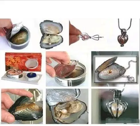 10 pcs Set Love Wish Fresh water Pearl Necklace Oyster Drop Pendant necklace>>> women jewerly Free shipping | Украшения и