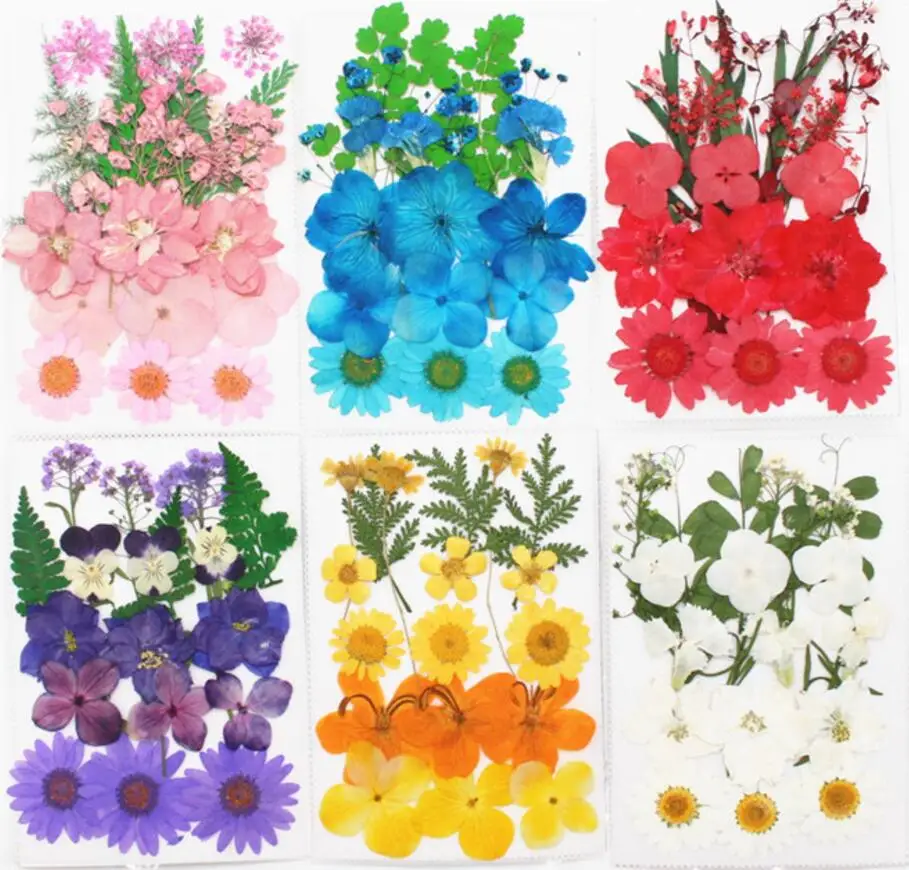 1 Set Mixed Dried Pressed Flower+ Leaves Plants Herbarium For Jewelry Postcard Photo Frame Phone Case Making DIY
1 Set Mixed Dried Pressed Flower+ Leaves Plants Herbarium For Jewelry Postcard Photo Frame Phone Case Making DIY