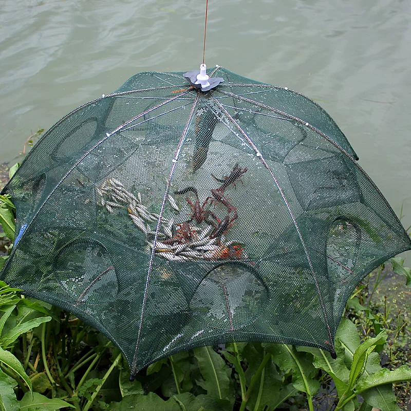 GSZHXCK fishing net fishing accessories crayfish catcher traps shrimp crab fish net 1pc
GSZHXCK fishing net fishing accessories crayfish catcher traps shrimp crab fish net 1pc