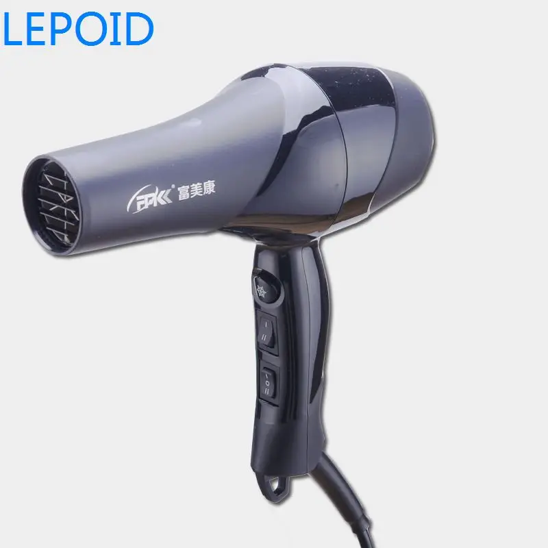 LEPOID Hair Dryer EU Plug Blow Dryer Wind Low Noise Hair Blower For Home Outdoor Travel Hair Drier
LEPOID Hair Dryer EU Plug Blow Dryer Wind Low Noise Hair Blower For Home Outdoor Travel Hair Drier