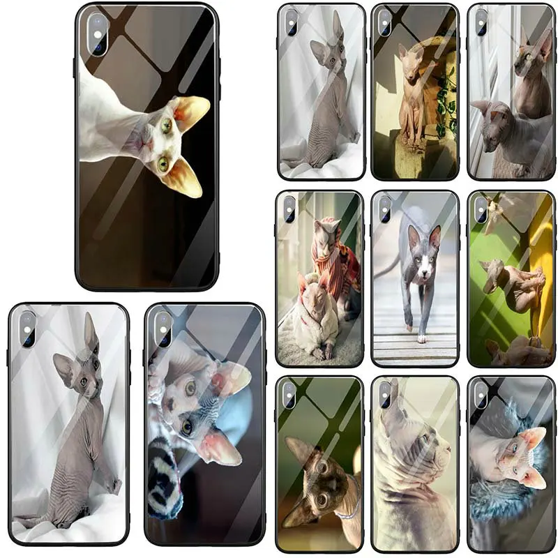 Sphynx Cat Animal Tempered Glass Mobile Phone Cases Bags for iPhone 5 5S SE X XR XS Max 10 7 6 6s 8 Plus Coque Shell Cover
Sphynx Cat Animal Tempered Glass Mobile Phone Cases Bags for iPhone 5 5S SE X XR XS Max 10 7 6 6s 8 Plus Coque Shell Cover