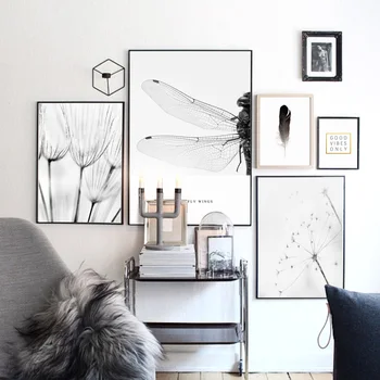 Dandelion Dragonfly Feather Wall Art Canvas Painting Black White Nordic Posters And Prints Wall Pictures For Living Room
Dandelion Dragonfly Feather Wall Art Canvas Painting Black White Nordic Posters And Prints Wall Pictures For Living Room