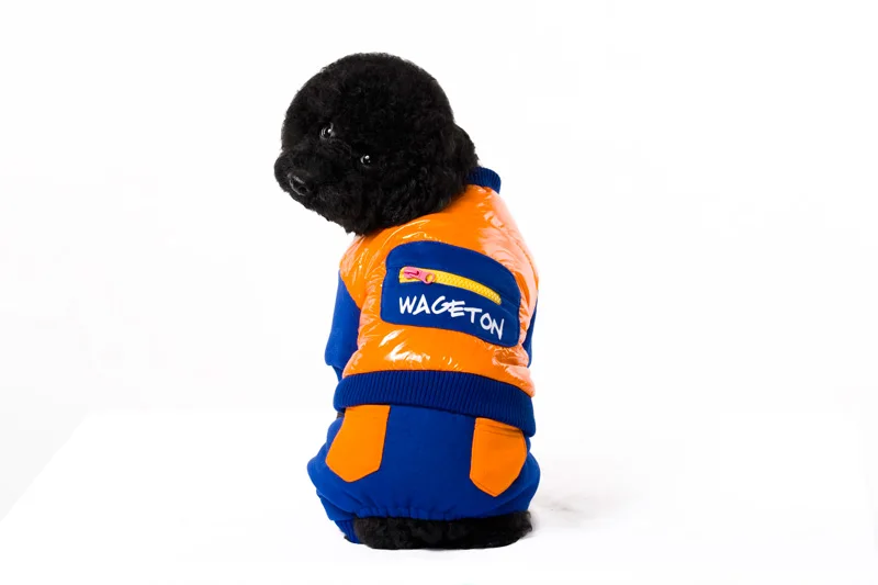 4 Overall for dog