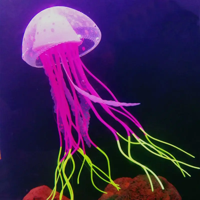 Aquarium Fluorescent Jellyfish Fish Tank Decoration Authentic Simulation Trumpet Goldfish Decor
Aquarium Fluorescent Jellyfish Fish Tank Decoration Authentic Simulation Trumpet Goldfish Decor