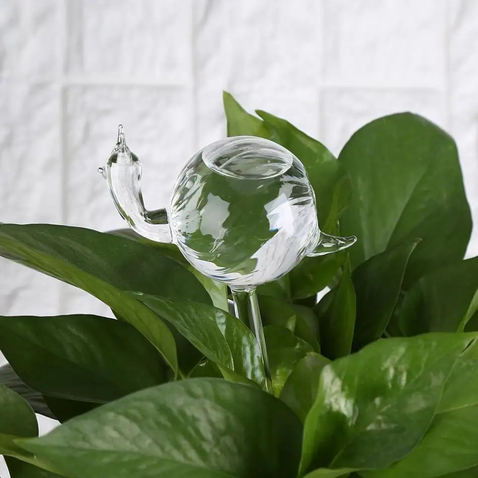 House Plants Flowers Water Feeder Automatic Self Watering Devices Clear Glass Water Feeder Snail Shape irrigation Sprinkler
House Plants Flowers Water Feeder Automatic Self Watering Devices Clear Glass Water Feeder Snail Shape irrigation Sprinkler
