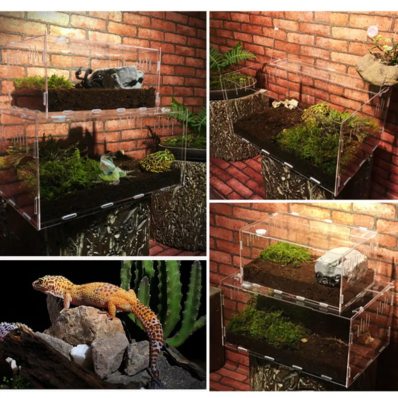 Durable Thermometer Hygrometer Reptile Terrarium Home Decoration Pet Box Acrylic Transparent 30*20*15cm Insect
Durable Thermometer Hygrometer Reptile Terrarium Home Decoration Pet Box Acrylic Transparent 30*20*15cm Insect
