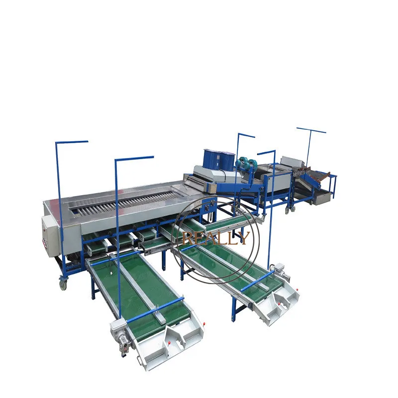 Vegetable classifier and Cleaning machine fruit sorting machine Cherry strawberry grader
Vegetable classifier and Cleaning machine fruit sorting machine Cherry strawberry grader
