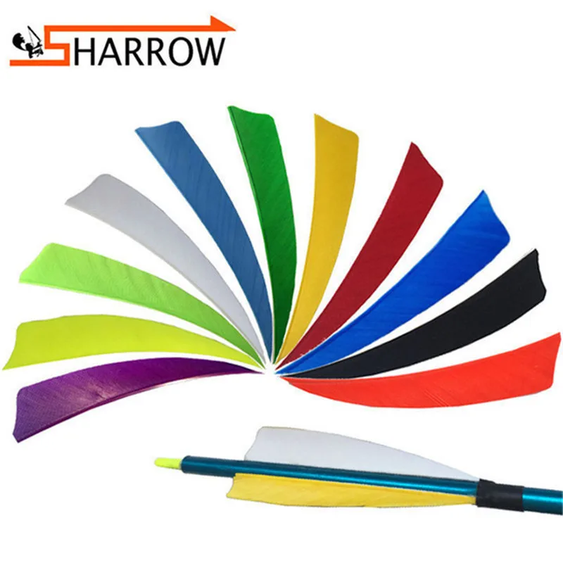 50pcs 4" Turkey Feather Shield-shape Arrow Feathers Natural Fletching Right Wing Vanes For Hunting Shooting Archery Accessories
50pcs 4" Turkey Feather Shield-shape Arrow Feathers Natural Fletching Right Wing Vanes For Hunting Shooting Archery Accessories