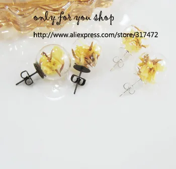 100pcs mix Dry Flower Glass Globe Glass Vial Stud Earring Glass Bubble Ball Antique bronze/silver plated Stud Earring
100pcs mix Dry Flower Glass Globe Glass Vial Stud Earring Glass Bubble Ball Antique bronze/silver plated Stud Earring