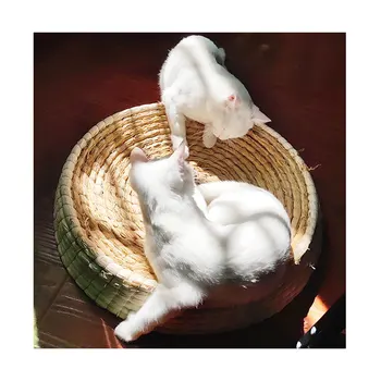 Large Space Pet Cat Scratch Board Bowl Nest Handmade Weaving Massage Scratching Pad Kitten Rabbit Mat Toys Chicken Rest Bed
Large Space Pet Cat Scratch Board Bowl Nest Handmade Weaving Massage Scratching Pad Kitten Rabbit Mat Toys Chicken Rest Bed