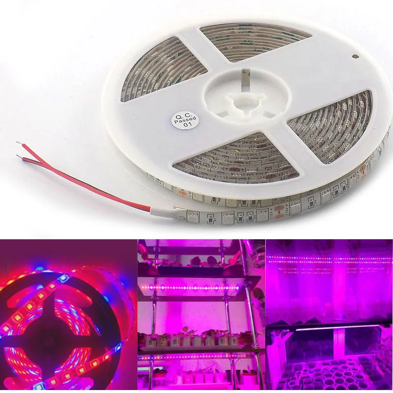 LED Plant Grow strip Light 5M DC 12V 5 red 1 blue 5050 LED Strip lamp for Aquarium Hydroponics system Greenhouse Plant Growing
LED Plant Grow strip Light 5M DC 12V 5 red 1 blue 5050 LED Strip lamp for Aquarium Hydroponics system Greenhouse Plant Growing