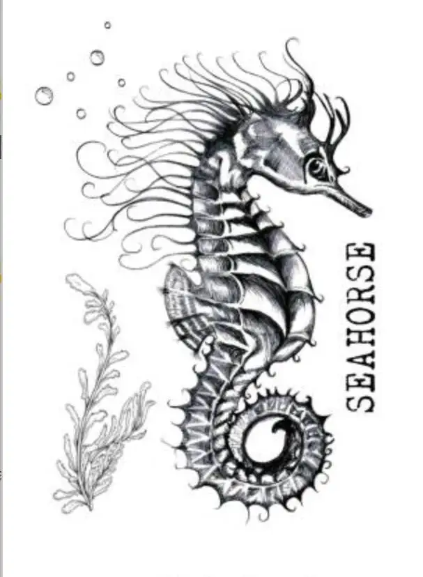 Seahorse Transparent Clear Silicone Stamp/Seal for DIY scrapbooking/photo album Decorative clear stamp A1045
Seahorse Transparent Clear Silicone Stamp/Seal for DIY scrapbooking/photo album Decorative clear stamp A1045