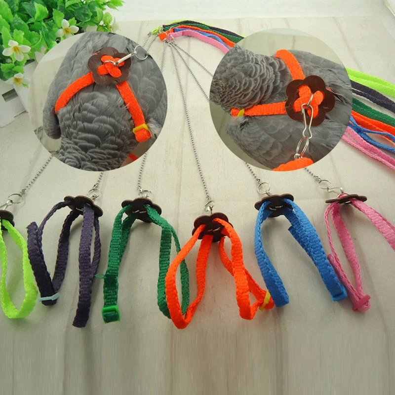 Small Pet Leash Colorful Parrot Bird Leashes Outdoor Adjustable Harness Training Rope Lead Leash Small Pets Accessories Supplies
Small Pet Leash Colorful Parrot Bird Leashes Outdoor Adjustable Harness Training Rope Lead Leash Small Pets Accessories Supplies