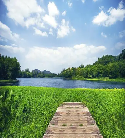 300*200cm(10ft*6.5ft) River meadow natural scenery photography backdrops pau de tira foto
300*200cm(10ft*6.5ft) River meadow natural scenery photography backdrops pau de tira foto