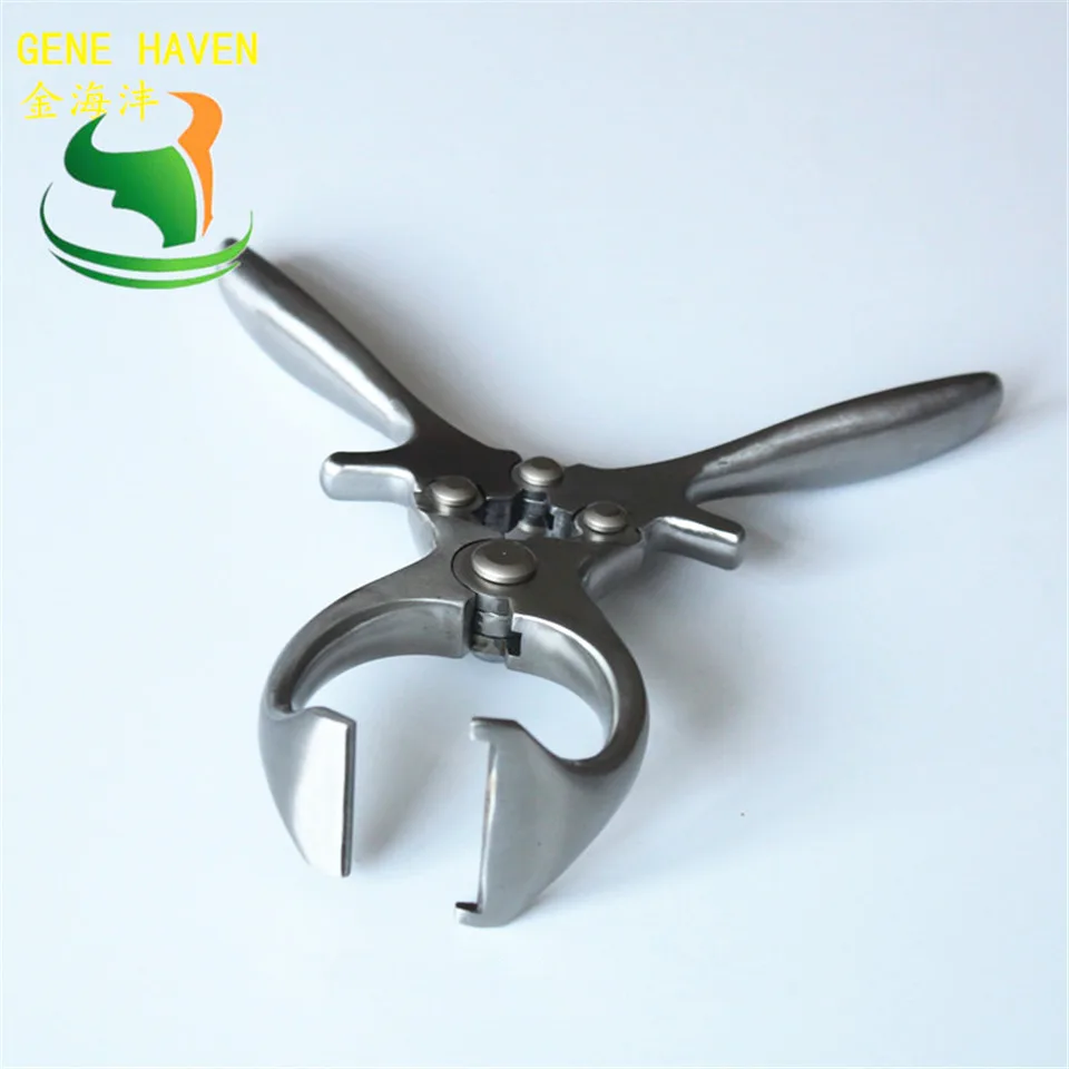Pig Stainless Steel Emasculator Veterinary Castration Surgical Instruments for Dairy Farm
Pig Stainless Steel Emasculator Veterinary Castration Surgical Instruments for Dairy Farm