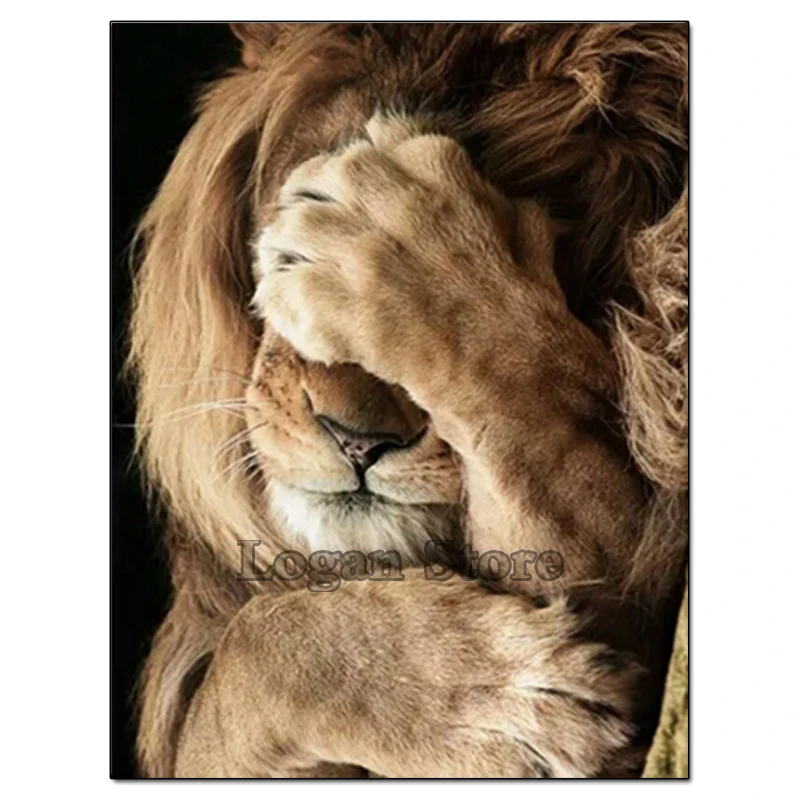 Volledige vierkante / ronde diamant 5D DIY Diamond Painting "Shy lion" Diamond geborduurd Diamond Mosaic Home Decor SSA353
Volledige vierkante / ronde diamant 5D DIY Diamond Painting "Shy lion" Diamond geborduurd Diamond Mosaic Home Decor SSA353