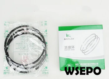 OEM Quality! Piston Rings Set for ZS1115 4 Stroke Small Water Cooled Diesel Engine
OEM Quality! Piston Rings Set for ZS1115 4 Stroke Small Water Cooled Diesel Engine