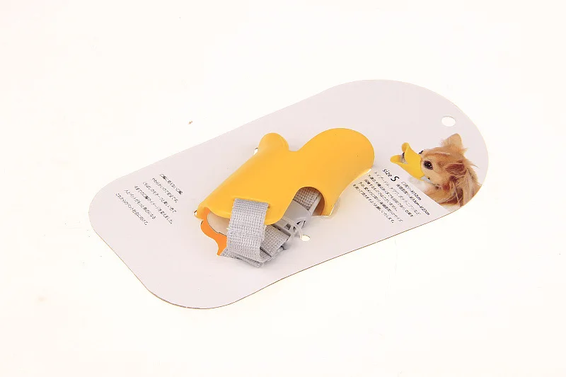 (20)