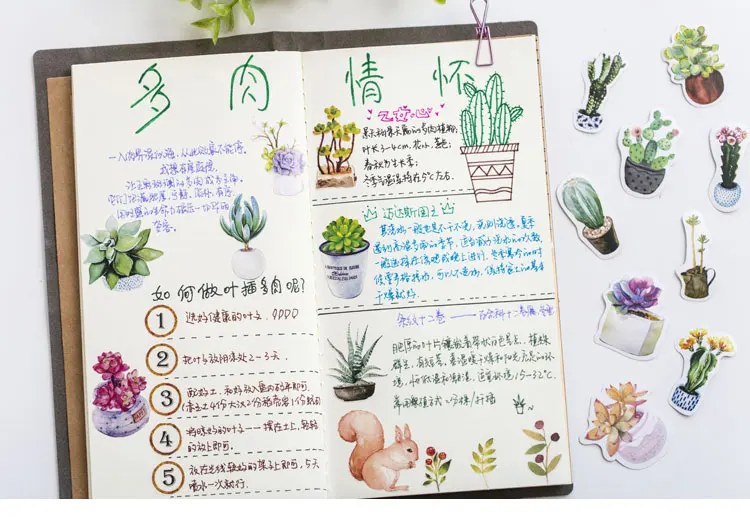 Succulents plants Stickers for planners bullet journal scrapbooking letters Succulents plants Stickers for planners bullet journal scrapbooking letters