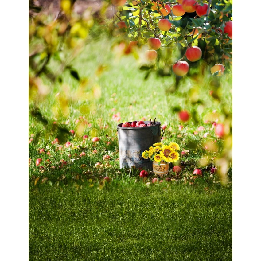 Customize 5X7ft Spring Photography Backdrop Kids children fruit trees Vinyl Backdrop For Photography Baby Background
Customize 5X7ft Spring Photography Backdrop Kids children fruit trees Vinyl Backdrop For Photography Baby Background