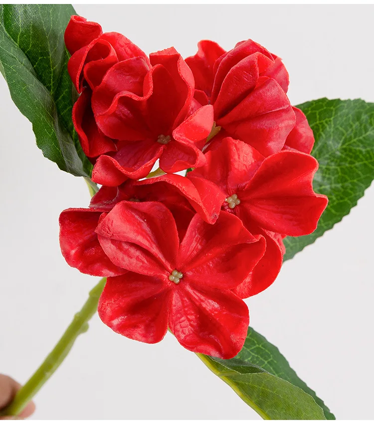 A4