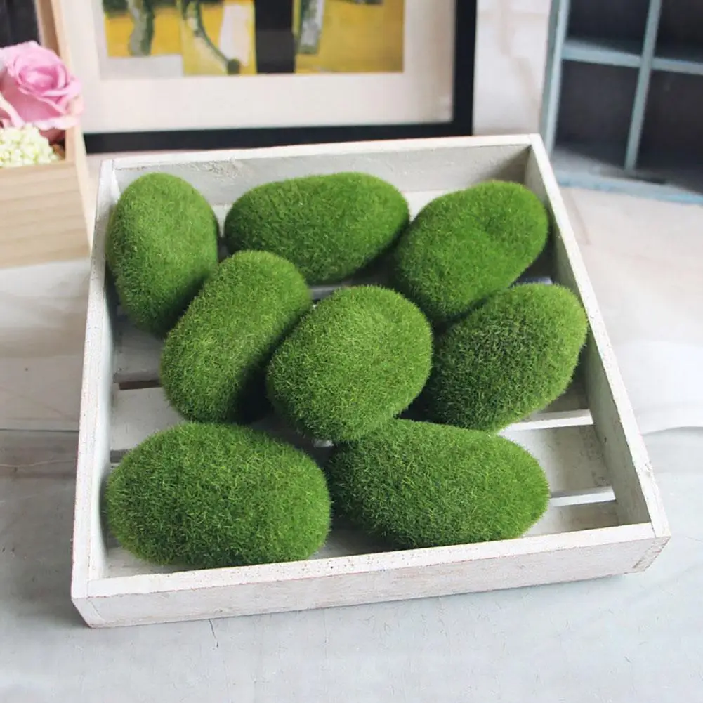 Aquarium Alive Fishes Shrimp Plants Moss Ball Water Grass Fish Tank Ornament hot sale Aquarium
Aquarium Alive Fishes Shrimp Plants Moss Ball Water Grass Fish Tank Ornament hot sale Aquarium
