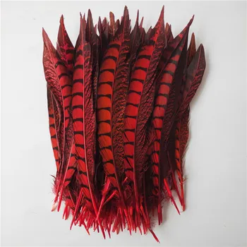 50Pcs/Lot Female Pheasant Tail Feathers 25-30CM Natural Red Pheasant Feathers For Crafts DIY Wedding Decorations Plumes
50Pcs/Lot Female Pheasant Tail Feathers 25-30CM Natural Red Pheasant Feathers For Crafts DIY Wedding Decorations Plumes