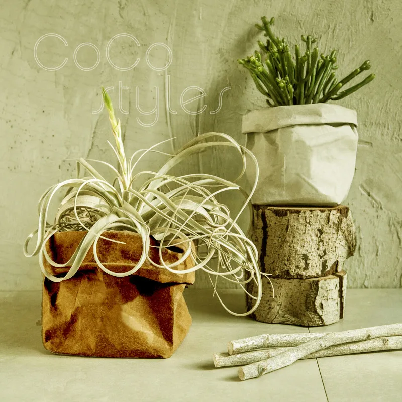 Cocostyles bespoke ins fashion chic attracitve canvas bag vase for flower vase fruit storage natural modern wedding decoration
Cocostyles bespoke ins fashion chic attracitve canvas bag vase for flower vase fruit storage natural modern wedding decoration