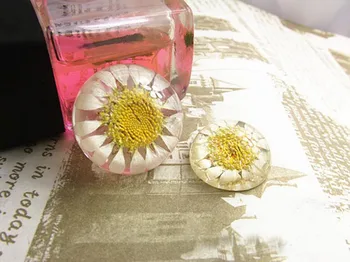 50pcs 25mm Clear Dried Daisy Flower Resin Cabochon Beads For DIY Scrapbooking,Headband Hairband , Jewelry Decoration
50pcs 25mm Clear Dried Daisy Flower Resin Cabochon Beads For DIY Scrapbooking,Headband Hairband , Jewelry Decoration