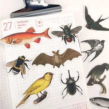 Vintag letter stickers bird insect fish DIY scrapbooking album journal project making happy planner handicraft decorationsticker
Vintag letter stickers bird insect fish DIY scrapbooking album journal project making happy planner handicraft decorationsticker