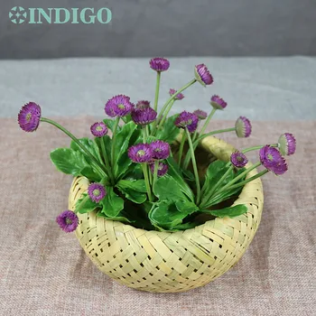 INDIGO- Wholesale 120pcs Dandelion Asteraceae Senecio Flower Desert Daisy Artificial Succulent Plant Background Free Shipping
INDIGO- Wholesale 120pcs Dandelion Asteraceae Senecio Flower Desert Daisy Artificial Succulent Plant Background Free Shipping