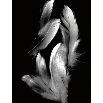 5D Diy Diamond painting cross stitch Diamond Embroidery white black art feather Full square Diamond mosaic Rhinestone needlework
5D Diy Diamond painting cross stitch Diamond Embroidery white black art feather Full square Diamond mosaic Rhinestone needlework