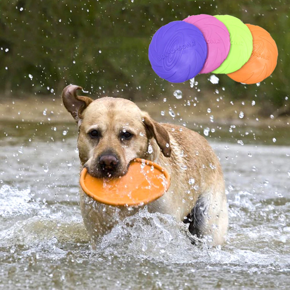 Trainning Puppy Dog Toys for Bite Resistant Pet toys New Large Dog Flying Discs Rubber Fetch Flying Disc Frisby 15cm 18cm 22cm
Trainning Puppy Dog Toys for Bite Resistant Pet toys New Large Dog Flying Discs Rubber Fetch Flying Disc Frisby 15cm 18cm 22cm
