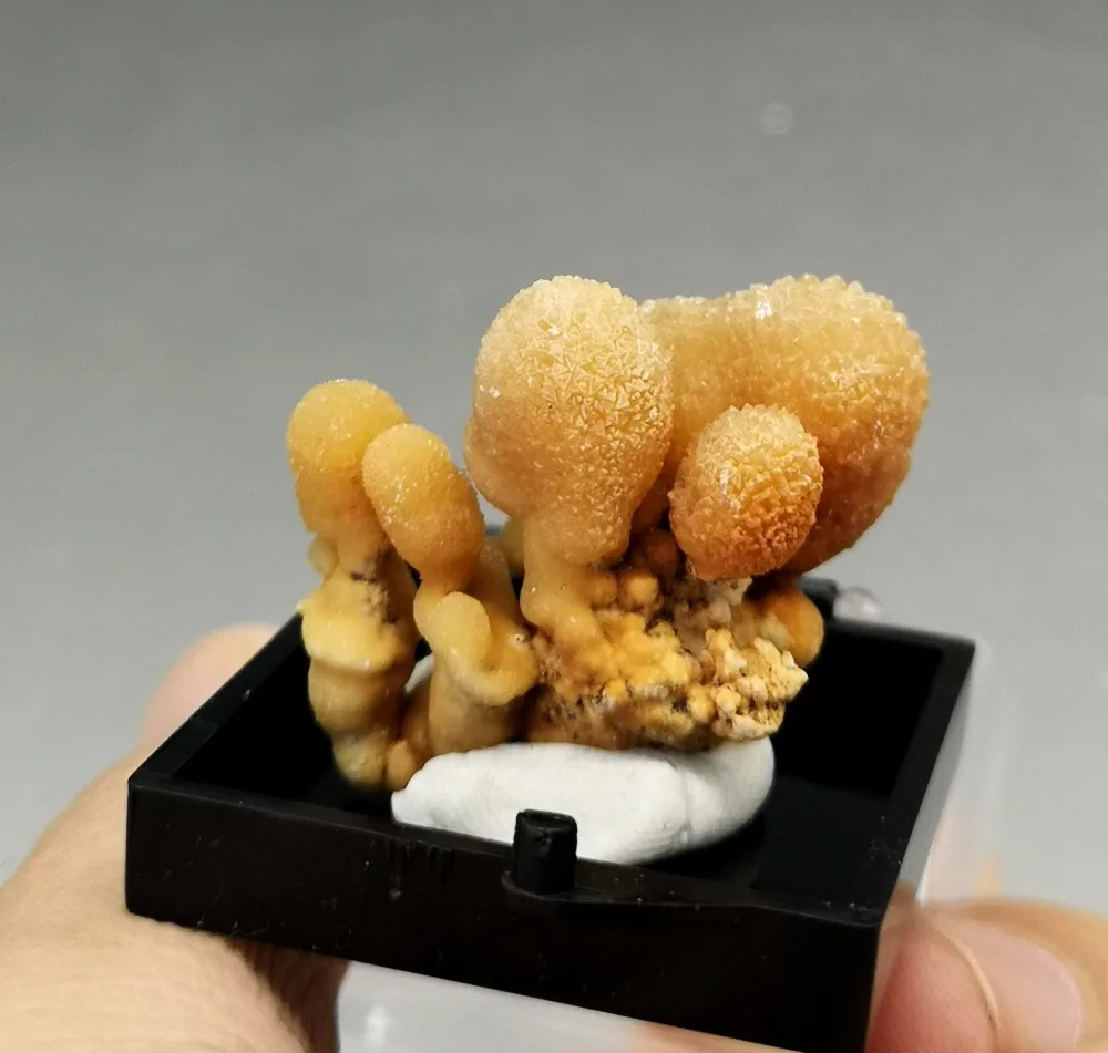 Free shipping 100% natural rare stalactite mineral teaching specimens from China,free gift box
Free shipping 100% natural rare stalactite mineral teaching specimens from China,free gift box
