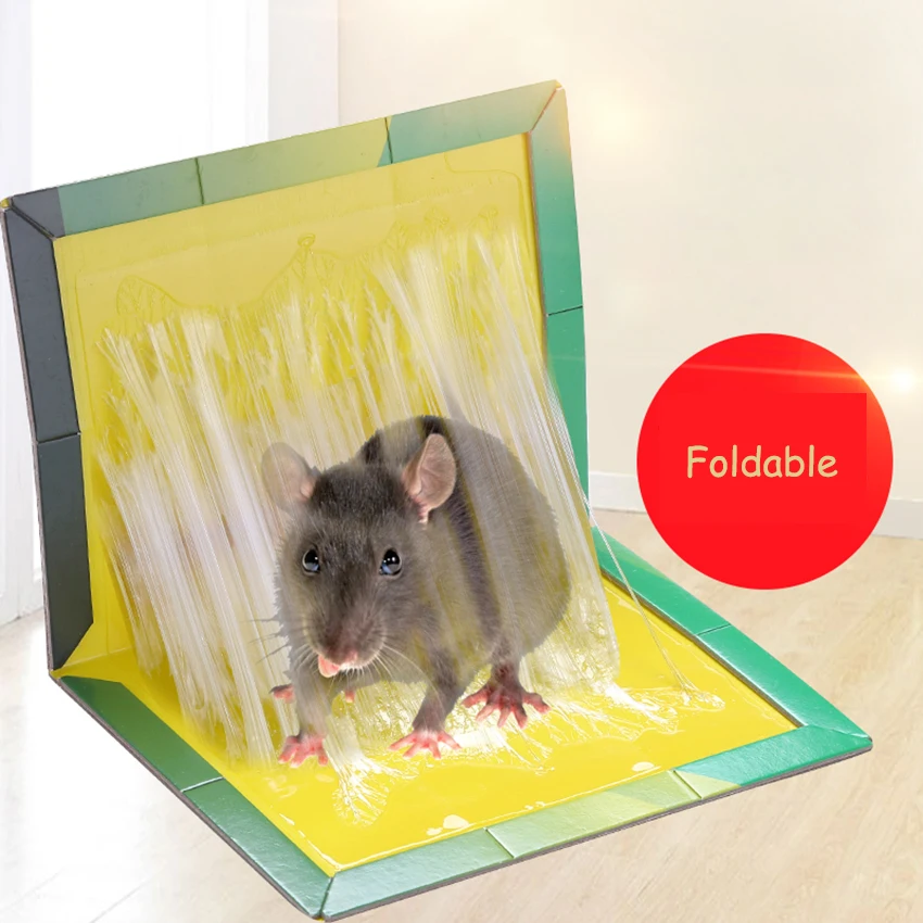 Efficient sticky mouse board super strong big rat paste household mousetrap rat poison rat glue boards clip
Efficient sticky mouse board super strong big rat paste household mousetrap rat poison rat glue boards clip