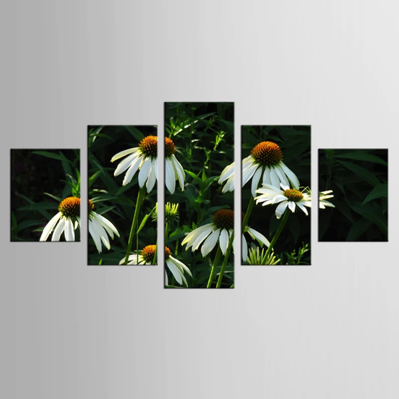 5 pieces/set HD modern printing chamomile painting canvas mural art home decoration living room canvas printing painting
5 pieces/set HD modern printing chamomile painting canvas mural art home decoration living room canvas printing painting