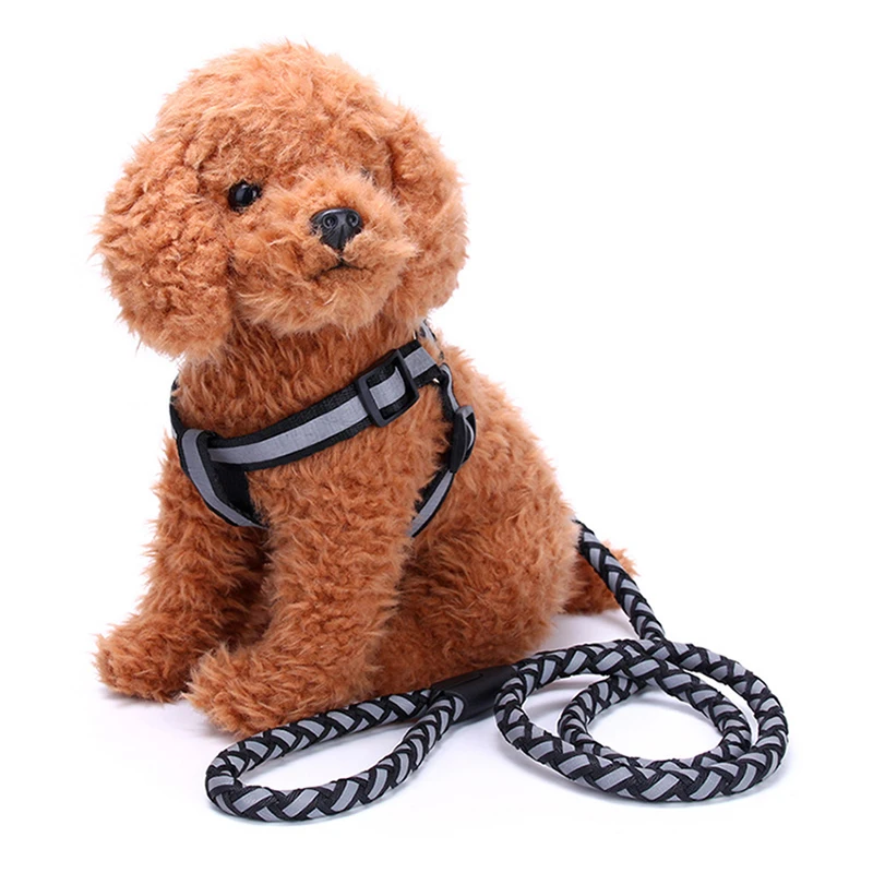 Nylon Durable Pet Leash Reflective Materials Adjustable Chest Circumference Dog Traction Rope Dog Lead Leashes
Nylon Durable Pet Leash Reflective Materials Adjustable Chest Circumference Dog Traction Rope Dog Lead Leashes